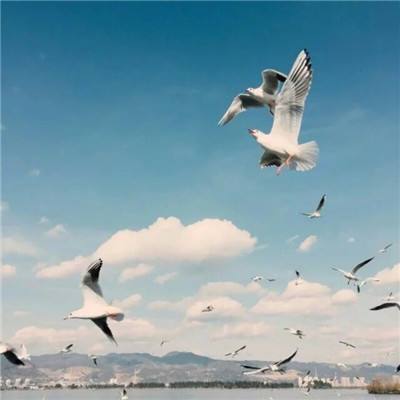 又现“抱火哥”！济南消防员徒手抱喷火煤气罐冲出火海